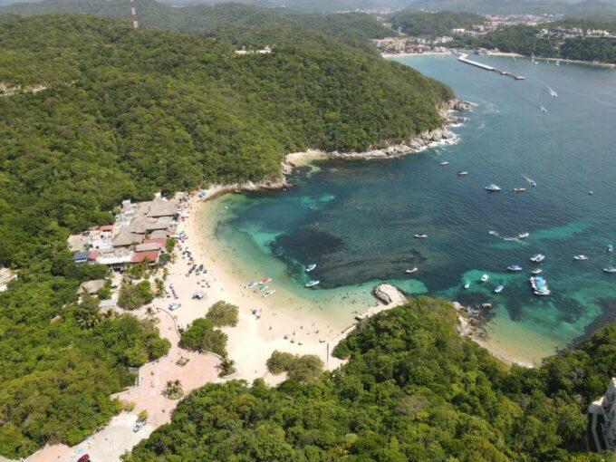 Discover Huatulco: Beach, Flavors, and More - Exploring Local Flora and Fauna