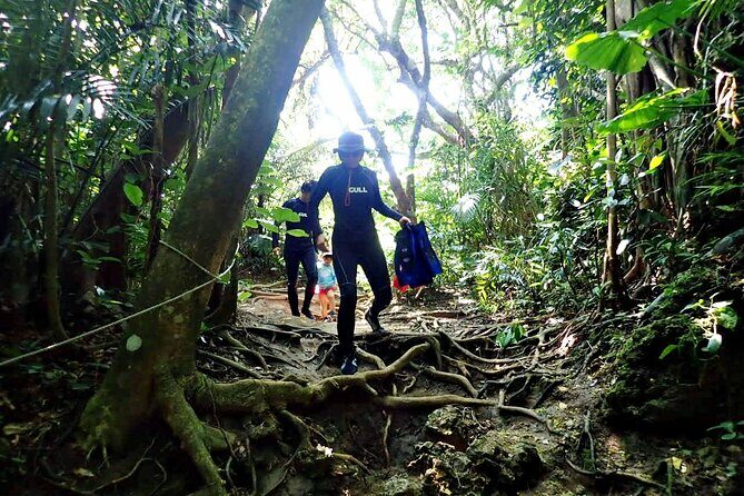 Discover Ishigaki's Hidden Treasures Snorkeling Tour at BlueCave - What to Expect from the Tour