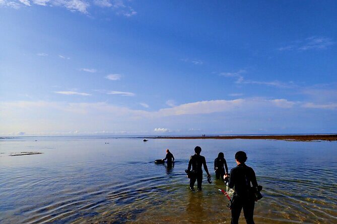 Discover Ishigaki's Hidden Treasures Snorkeling Tour at BlueCave - Transport and Accessibility