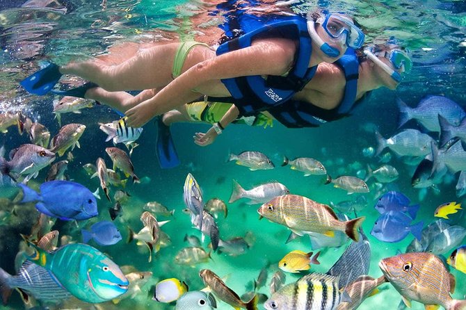 Discover Isla Mujeres Tour With Snorkel, Buffet and Open Bar - Pricing and Booking Options