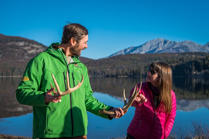 Discover Jasper and Its Wildlife - Exploring Jasper National Park