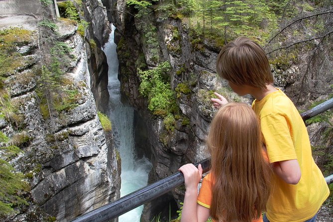 Discover Jasper and Its Wildlife - Insights Into Park Ecology