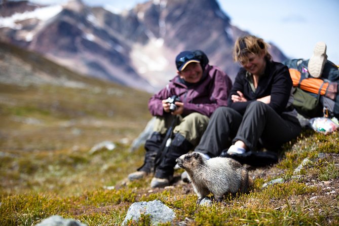 Discover Jasper and Its Wildlife - Traveler Reviews