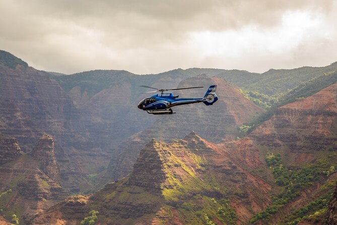 Discover Kauai Exclusive Helicopter Experience From Princeville - Meeting and Check-in Process