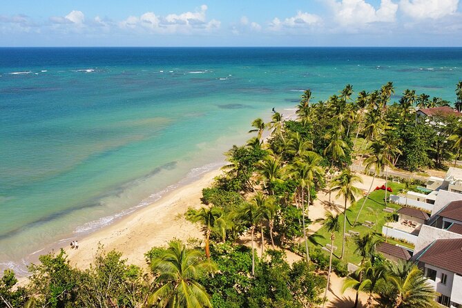 Discover Kitesurfing in Las Terrenas - Best Time to Visit