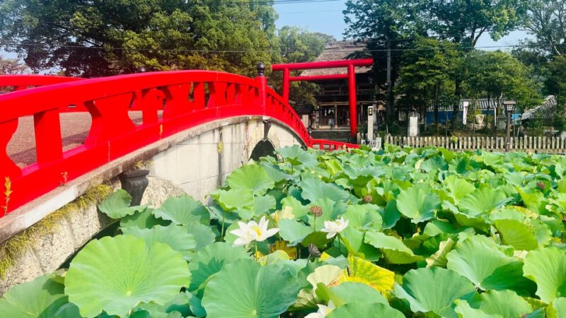 Discover Kumamotos Hidden Gem: Kumamoto Awaits You - Itinerary Highlights