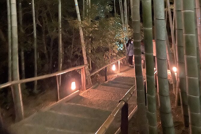 Discover Kyoto at Night by Bike - Health and Safety Information