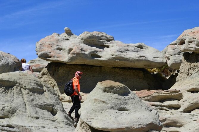 Discover La Leona Petrified Forest: Guided Hiking Tour - Key Points