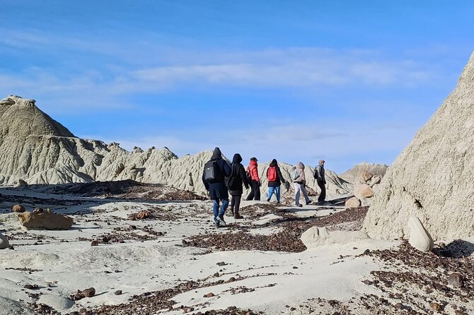 Discover La Leona Petrified Forest: Guided Hiking Tour - Scenic Highlights Along the Way