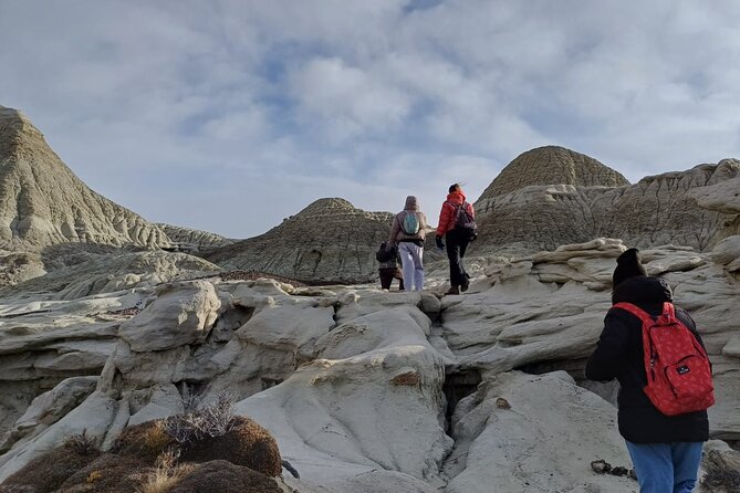 Discover La Leona Petrified Forest: Guided Hiking Tour - Experiencing a Historic Roadhouse
