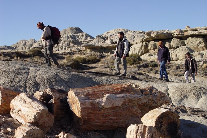 Discover La Leona Petrified Forest: Guided Hiking Tour - Preparing for the Hiking Adventure