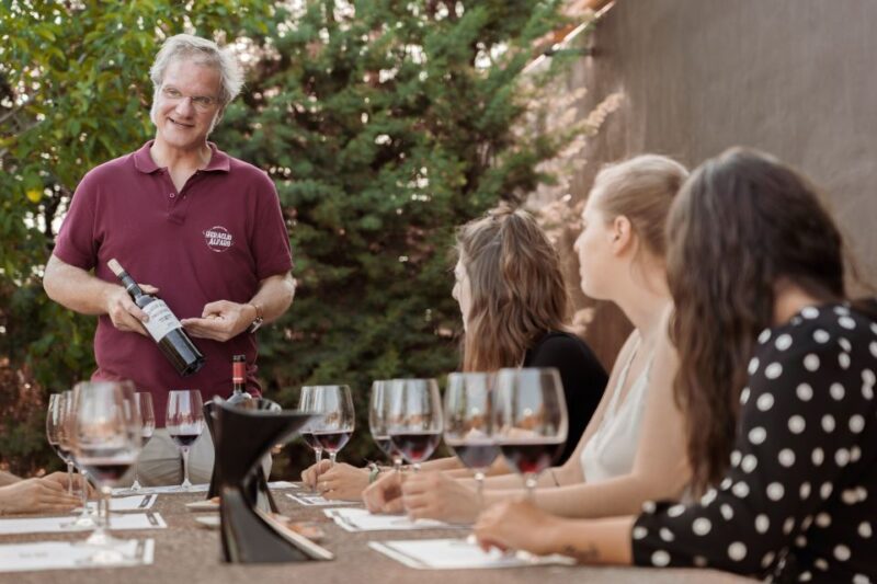 Discover La Rioja: Guided Winery Tour & Wine Tasting - Key Points