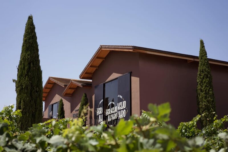 Discover La Rioja: Guided Winery Tour & Wine Tasting - Exploring Alfaro Winery