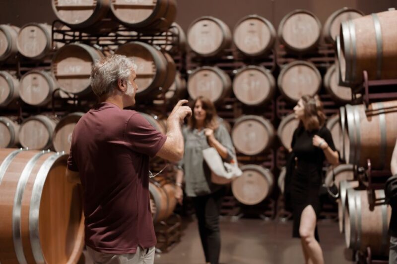 Discover La Rioja: Guided Winery Tour & Wine Tasting - Paired Local Snacks
