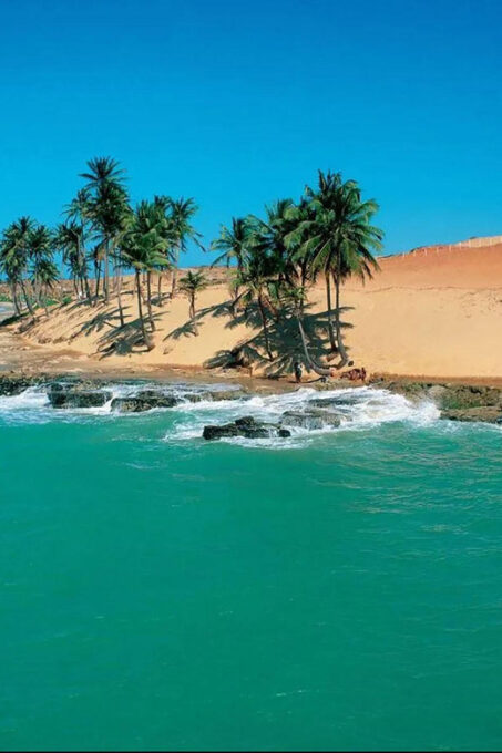 Discover Lagoinha: 1-Day Excursion - Inclusions in the Tour Package