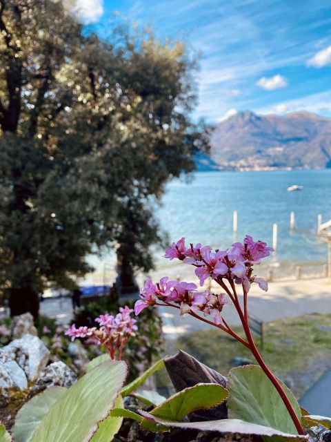 Discover Lake Como & Bellagio With a Local - Itinerary Highlights