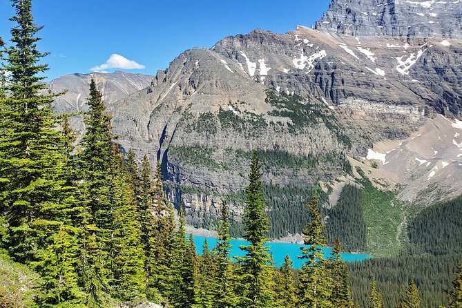 Discover Lake Louise & Moraine Lake : Day Trips From Calgary - Onboard Amenities and Services