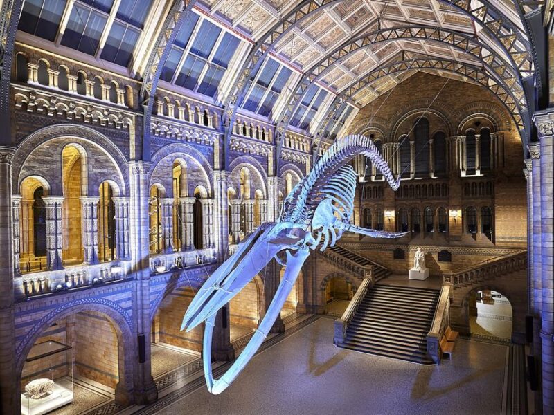 Discover Londons Natural Wonders: Museum Expedition - Natural History Wonders