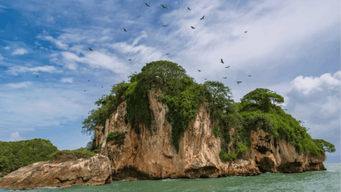 Discover Los Haitises National Park With Delicious Lunch - Important Considerations