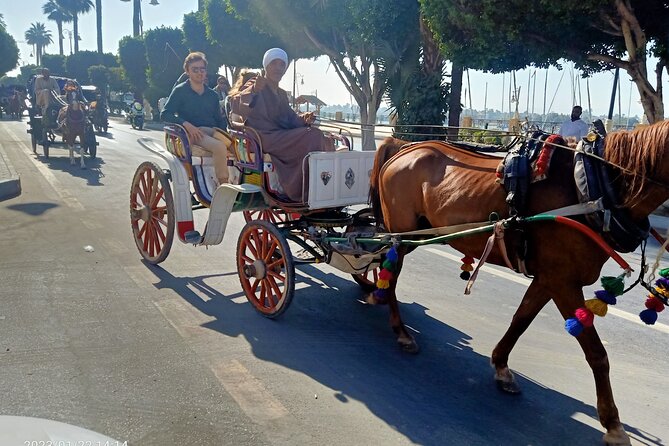 Discover Luxor City Tour by Horse Carriage - Inclusions