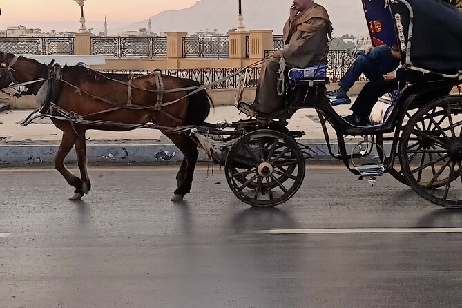 Discover Luxor City Tour by Horse Carriage - Pickup Information
