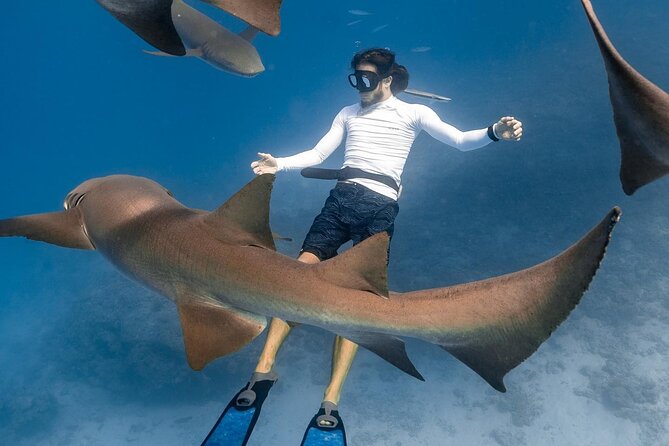 Discover Maafushi in 4 Nights 5 Days (Tour B) - Key Points