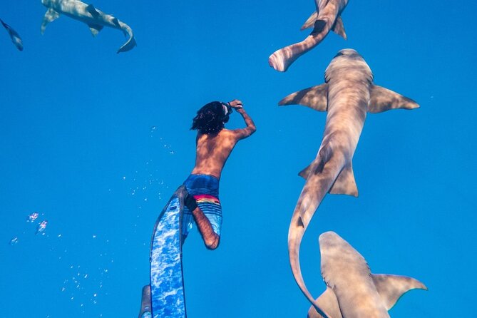 Discover Maafushi in 4 Nights 5 Days (Tour B) - Pickup Information