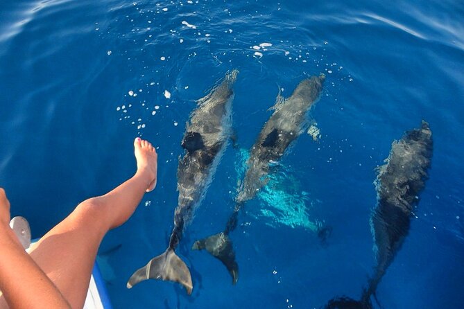 Discover Maafushi in 4 Nights 5 Days (Tour B) - Accommodation