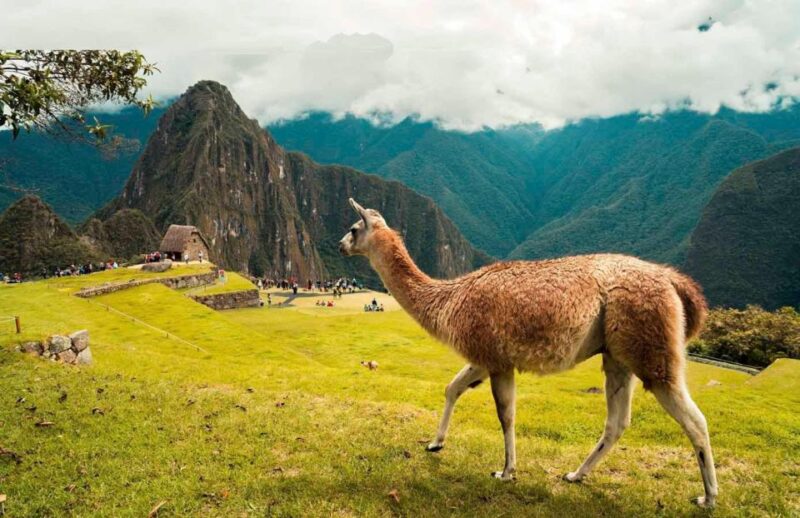 Discover Machu Picchu: Guided Group Tour Historic Site - Itinerary Highlights