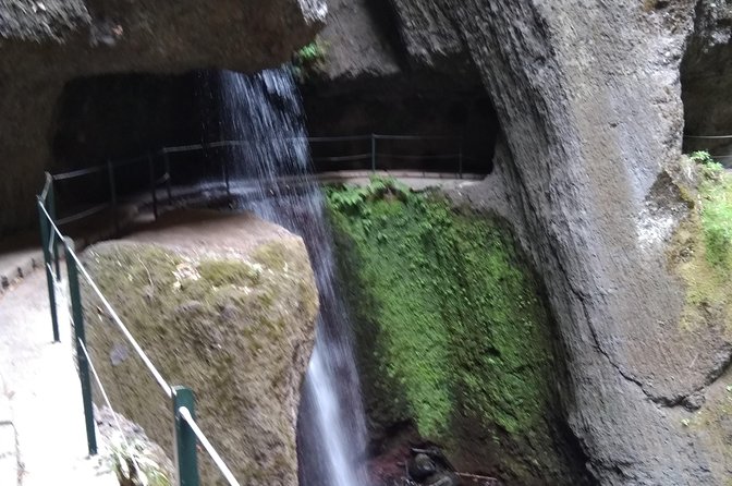 Discover Madeira Island Differently - Personalize Your Madeira Island Experience