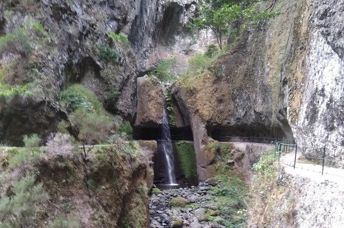 Discover Madeira Island Differently - Worth The Stay