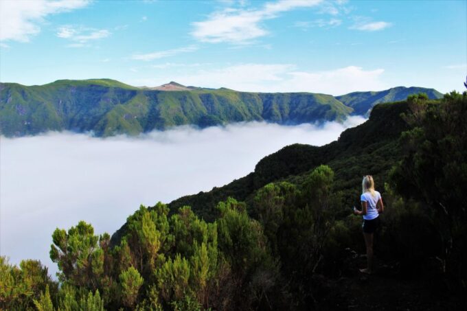 Discover Madeiras Idyllic Hikes & Beauty on Foot & Wheels! - Safety Considerations and Limitations