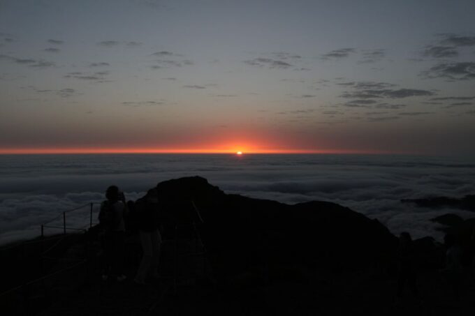 Discover Madeiras Idyllic Hikes & Beauty on Foot & Wheels! - Pickup Locations and Flexibility