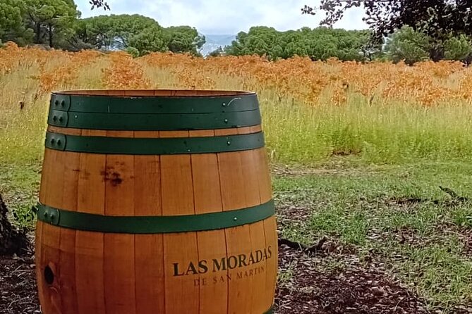 Discover Madrid's Best: Exclusive Wine Tour & Tastings Await! - Schedule