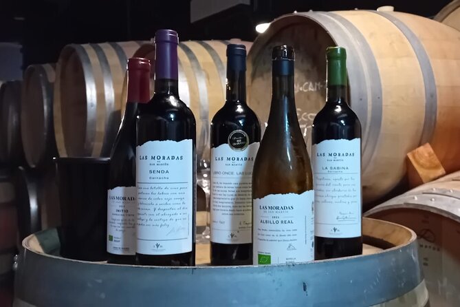 Discover Madrid's Best: Exclusive Wine Tour & Tastings Await! - Health and Accessibility