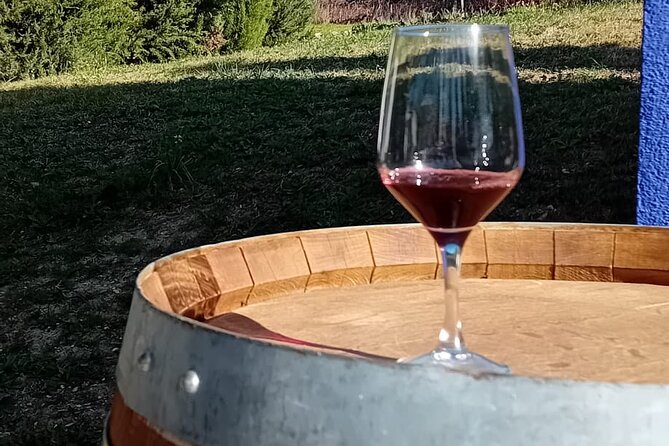 Discover Madrid's Hidden DO: Exclusive Winery Tour & Tasting - Uncovering the Secrets of the Winery