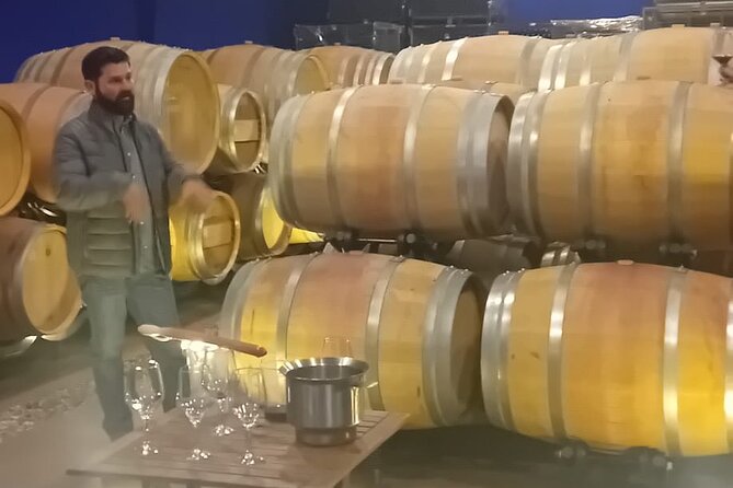 Discover Madrid's Hidden DO: Exclusive Winery Tour & Tasting - Taking in the Winemaking Process