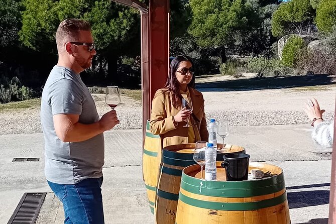Discover Madrid's Hidden DO: Exclusive Winery Tour & Tasting - Exploring the Winerys Rich History