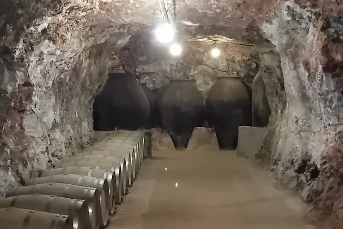 Discover Madrid's Hidden DO: Exclusive Winery Tour & Tasting - Appreciating the Art of Spanish Viticulture