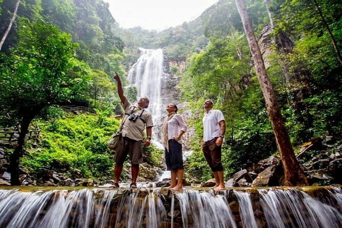 Discover Mangrove Forest and Cave Tour in Langkawi (Shared Tour) - Authentic Perspectives from Reviewers
