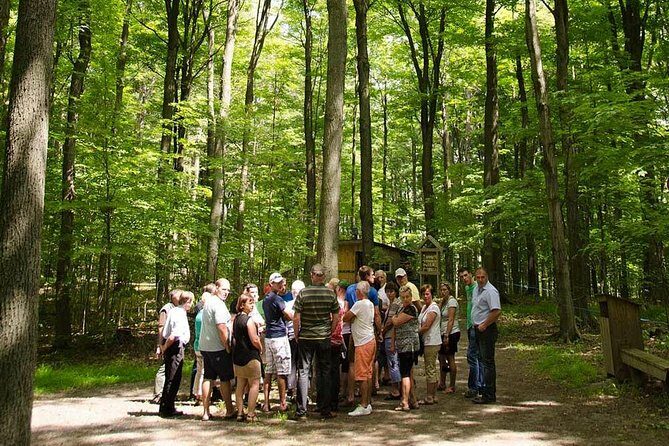 Discover Maple Sugar Bush Tour - An In-Depth Look at the Discover Maple Sugar Bush Tour