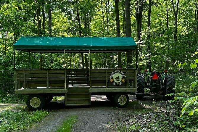 Discover Maple Sugar Bush Tour - The Sum Up