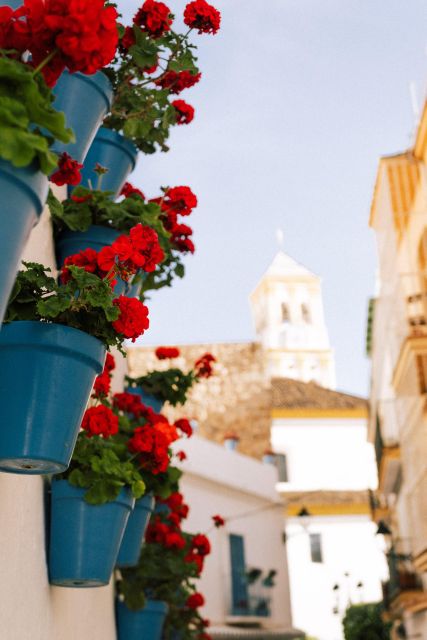 Discover Marbellas Old Town With Five-Star Private Tour - Highlights