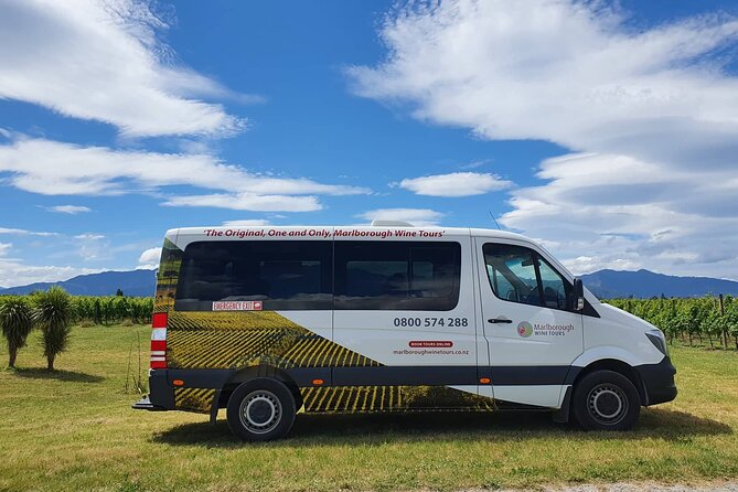 Discover Marlborough Wine - Afternoon Marlborough Wine Tour - Tour Itinerary and Highlights
