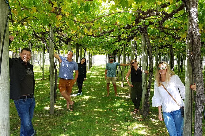 Discover Marlborough Wine - Afternoon Marlborough Wine Tour - Booking and Cancellation Policy
