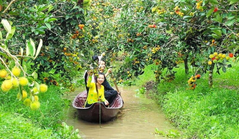 DISCOVER MEKONG DELTA TWO DAYS ONE NIGHT (CAI BE – CAN THO) - Tour Overview and Pricing