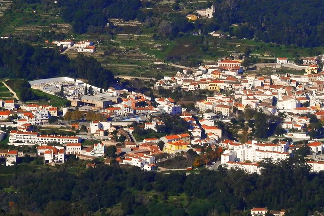 Discover Monchique - What to Expect on the Walk