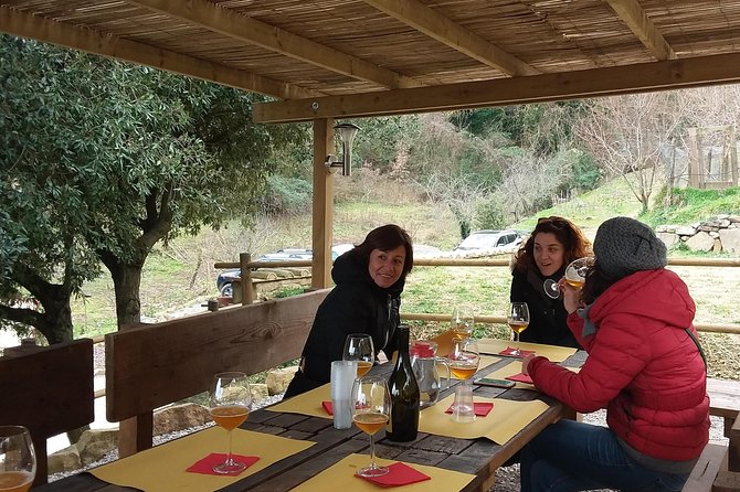 Discover Montalcino Through Its Best Productions: Brunello & Saffron!! - Participant Information