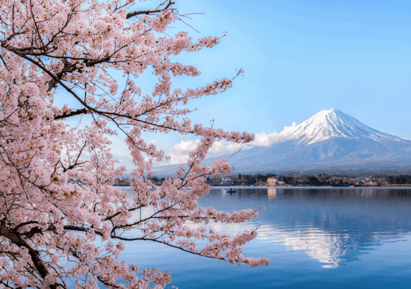 Discover Mount Fuji: Private Car/Van Day Tour From Tokyo - Key Points