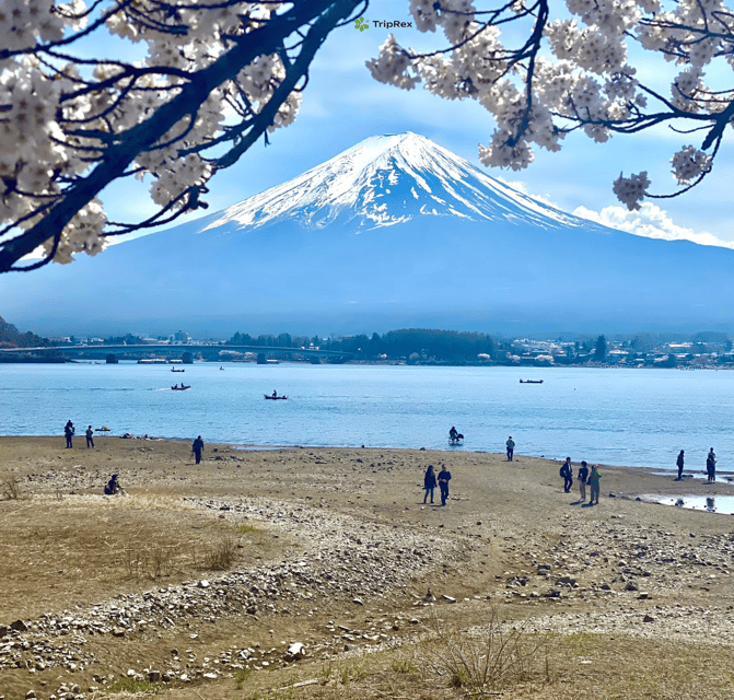 Discover Mount Fuji: Private Car/Van Day Tour From Tokyo - Shrines and Temples Around Fuji